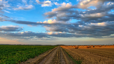 Земеделската земя се утвърди като топ актив през 2022 г., тенденцията се очаква да продължи pic